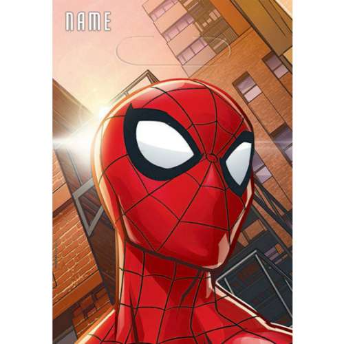 Spiderman Loot Bags